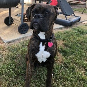 Meet your Posher, Waddy